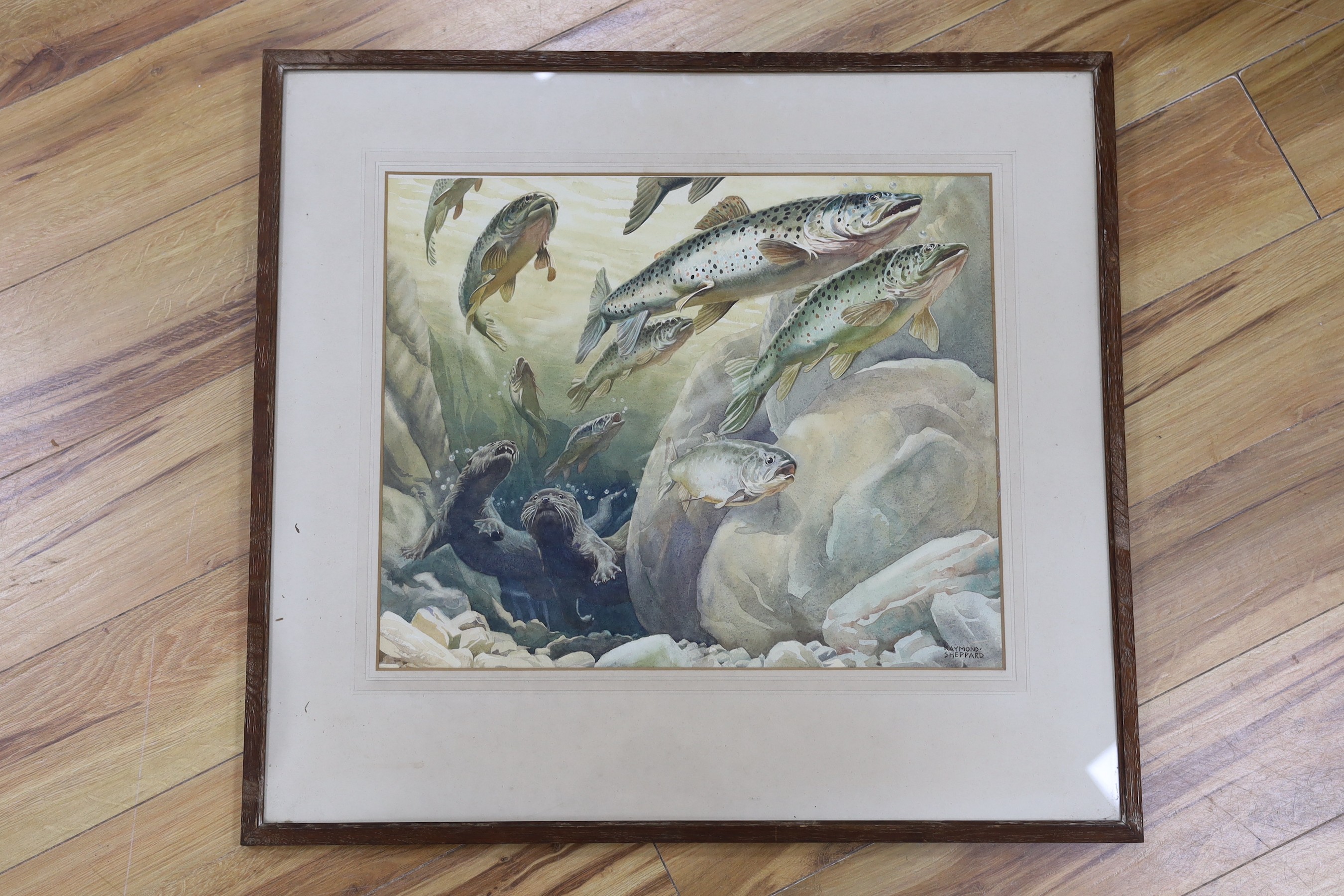 Raymond Sheppard (1913-1958), watercolour, Otters and fish, signed with label verso, 45 x 55cm